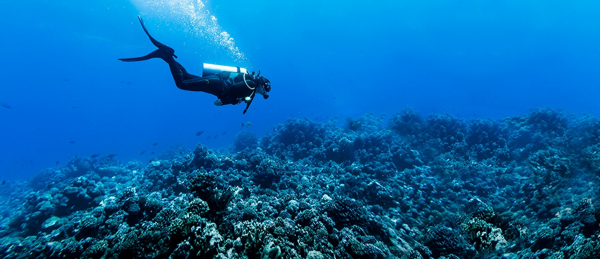 Down Deep